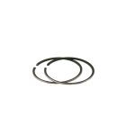 Karike Minarelli fi 40x1.5 set RMS