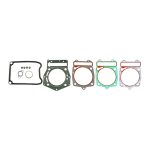 Dihtung set Piaggio Beverly 500cc