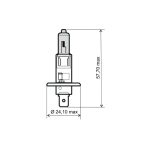 Sijalica 12V 55W H1 Xennon plava RMS