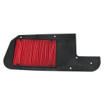 Filter Vazduha Honda Foresight 250