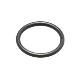 O ring gumica