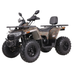 K Moto Shark III 200ccm