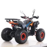 K Moto ATV Wolf 125ccm - Image 6