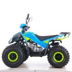 K Moto ATV Wolf 125ccm - Image 3